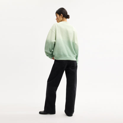 Ombre Sporty Crewneck Sweatshirt In Organic Cotton