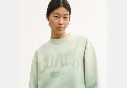 Ombre Sporty Crewneck Sweatshirt In Organic Cotton