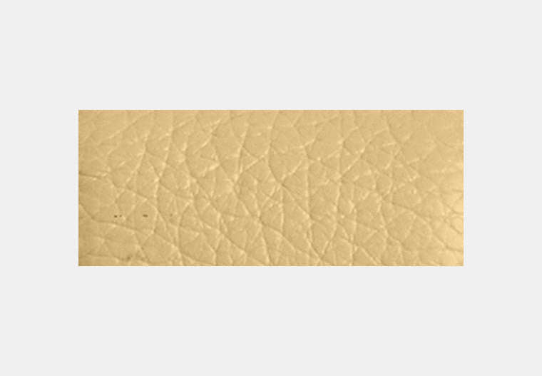Medium Corner Zip Wallet With Floral Print