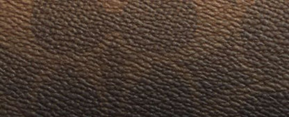 Snap Wallet In Ombre Signature Canvas