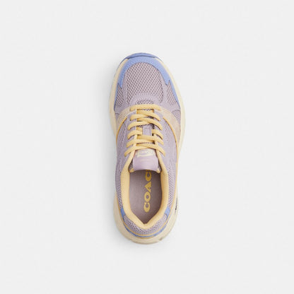 Sport Sneaker With Signature Canvas