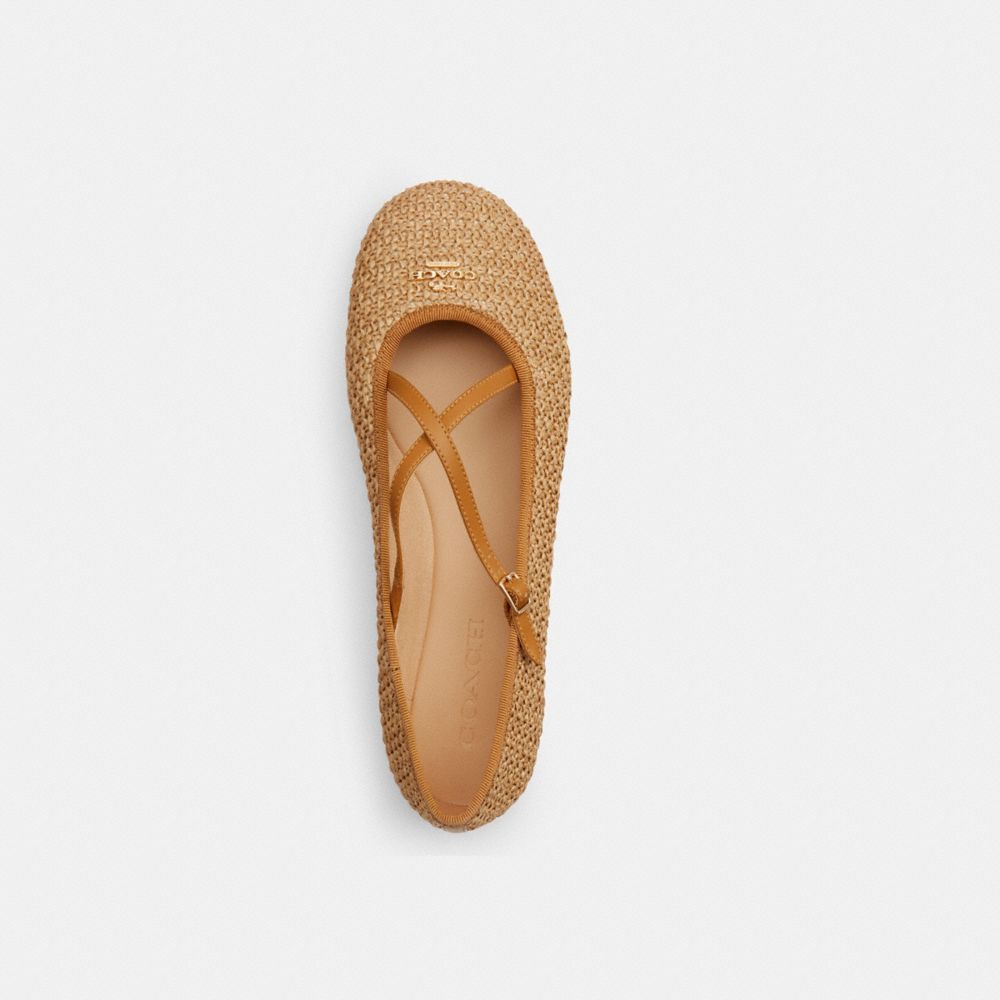 Phoebe Ballet Flat