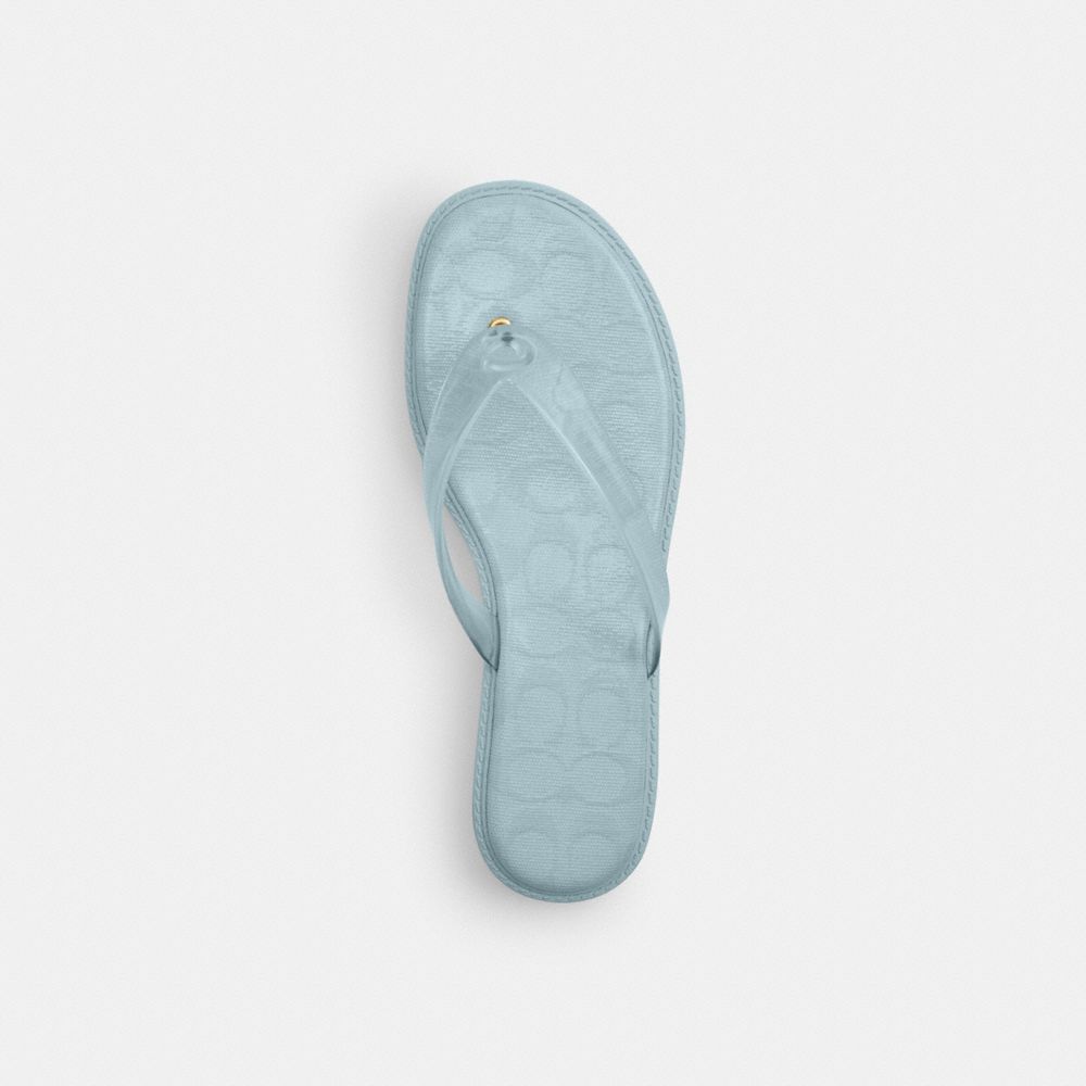 Jelly Flip Flop In Signature
