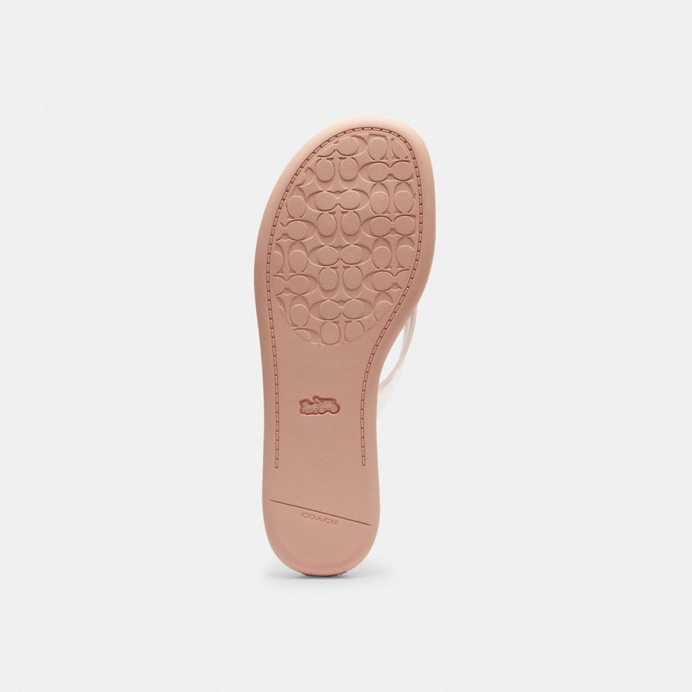 Jelly Flip Flop In Signature