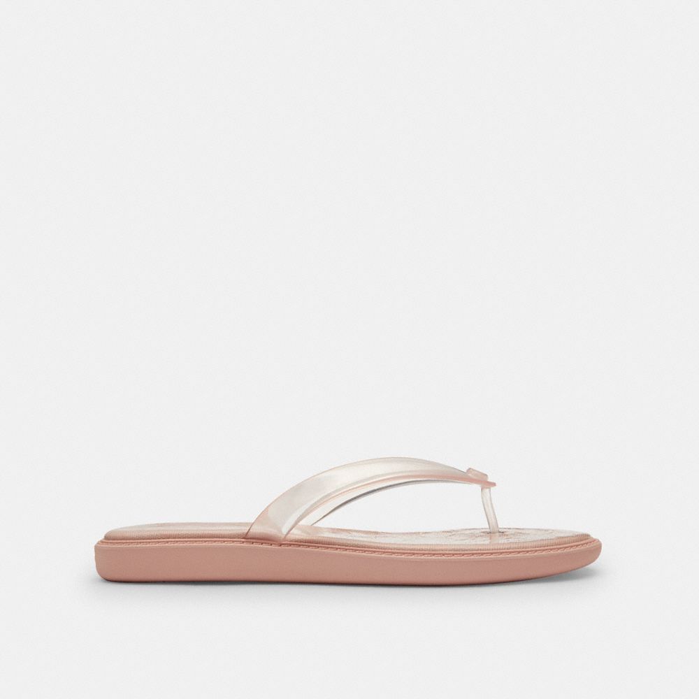 Jelly Flip Flop In Signature