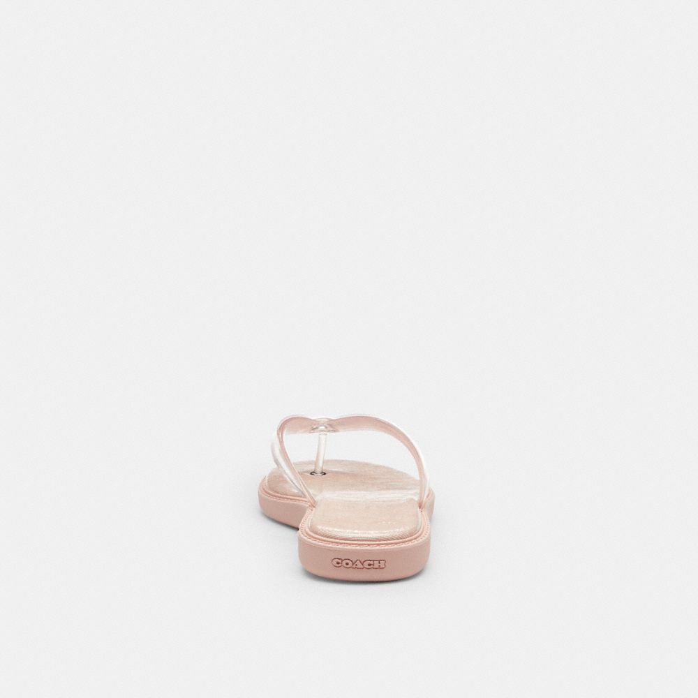 Jelly Flip Flop In Signature