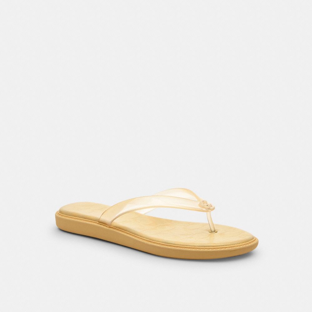 Jelly Flip Flop In Signature