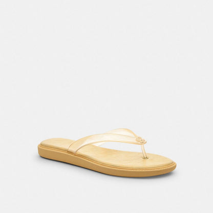 Jelly Flip Flop In Signature