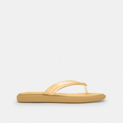 Jelly Flip Flop In Signature