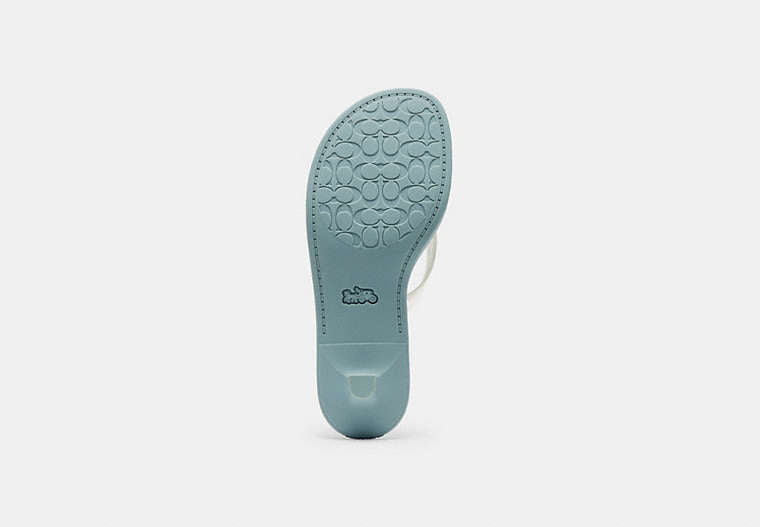 Jelly Thong Sandal In Signature