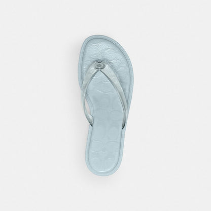 Jelly Thong Sandal In Signature