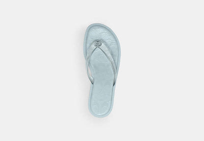 Jelly Thong Sandal In Signature