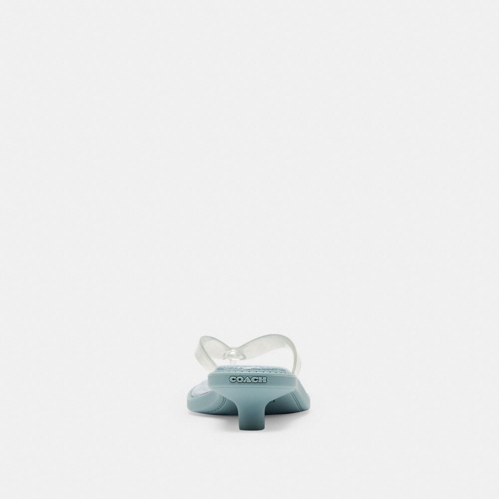 Jelly Thong Sandal In Signature