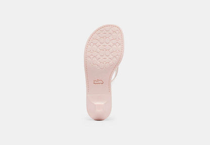 Jelly Thong Sandal In Signature