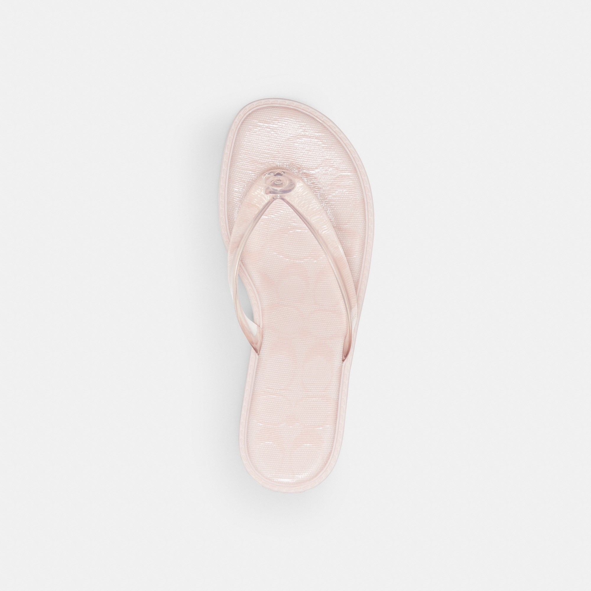 Jelly Thong Sandal In Signature