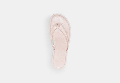 Jelly Thong Sandal In Signature