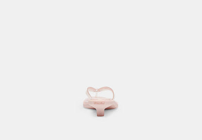 Jelly Thong Sandal In Signature