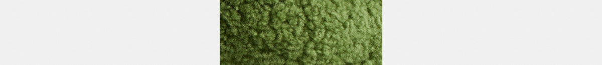 Rexy 10th Birthday Rexy Collectible In Shearling