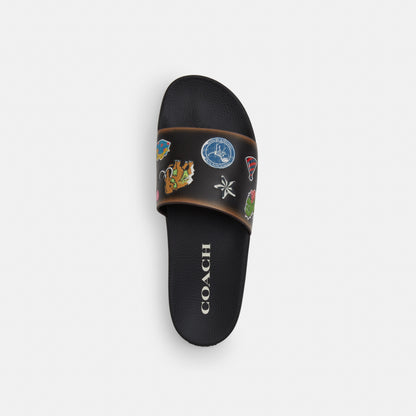 Pool Slide In Signature Canvas