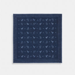 Dino Print Bandana