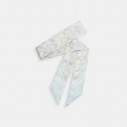 Signature Silk Skinny Scarf