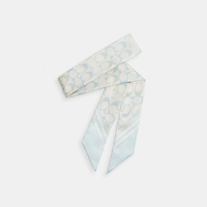 Signature Silk Skinny Scarf