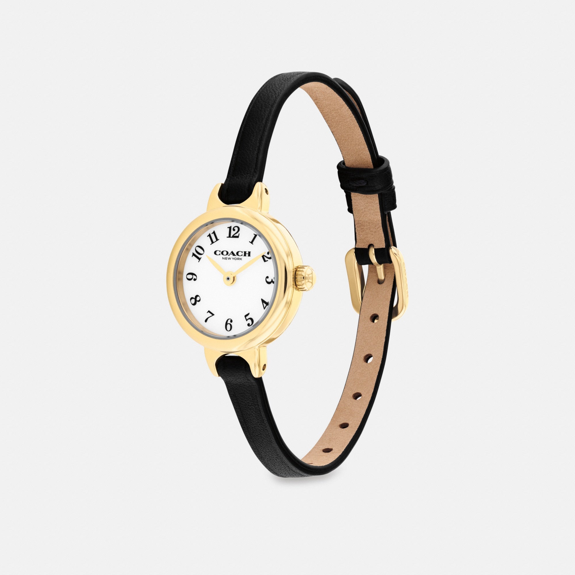Iris Watch, 22 Mm