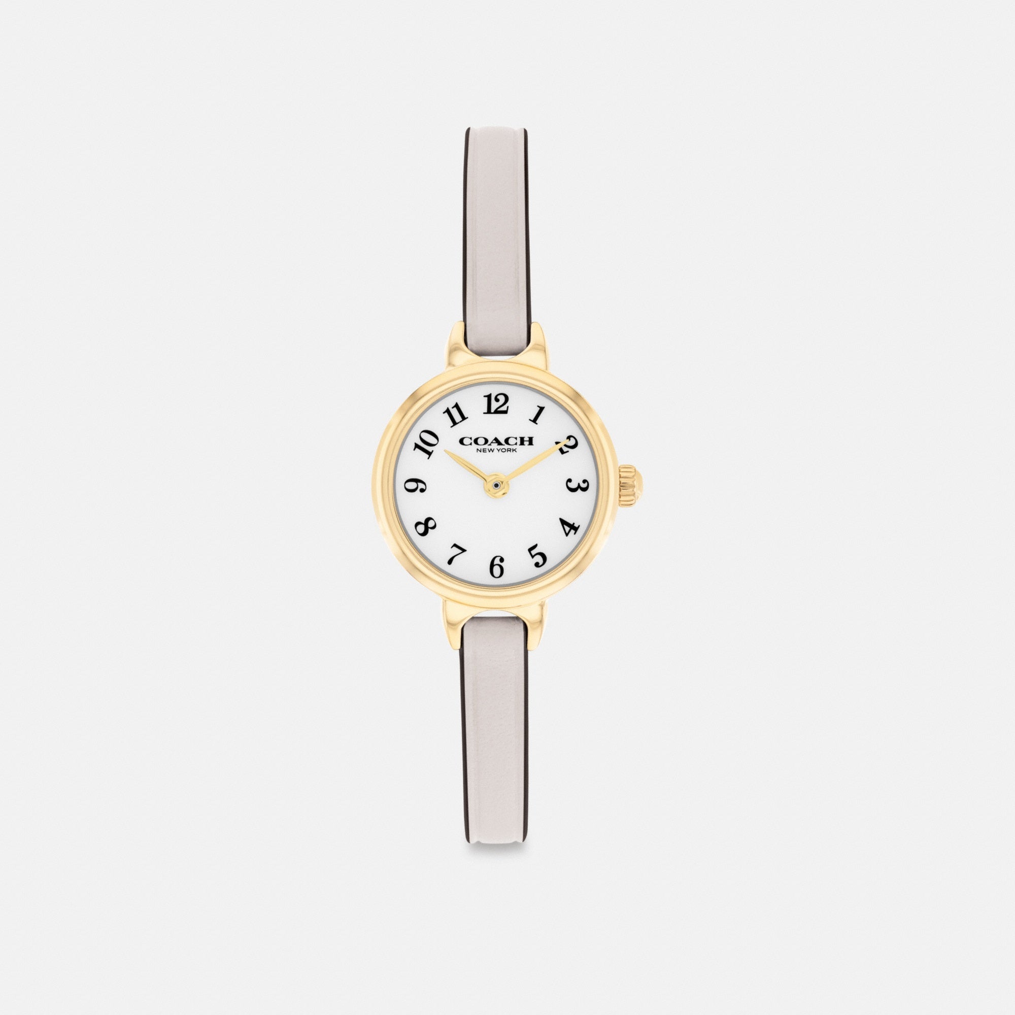 Iris Watch, 22 Mm
