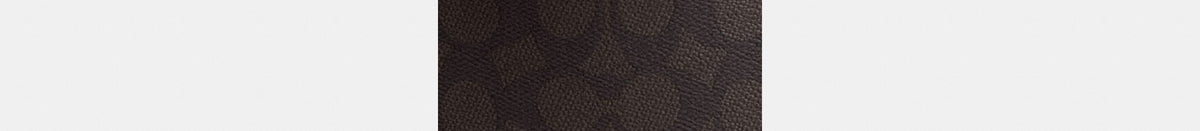 Carey Crossbody Bag In Signature Canvas