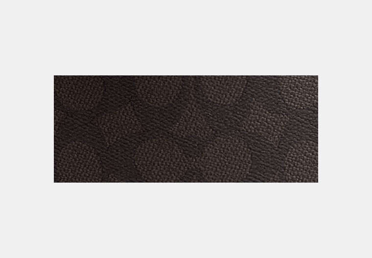 Carey Crossbody Bag In Signature Canvas