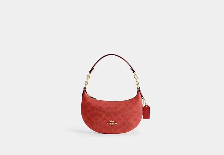 Mini Payton Bag In Signature Canvas