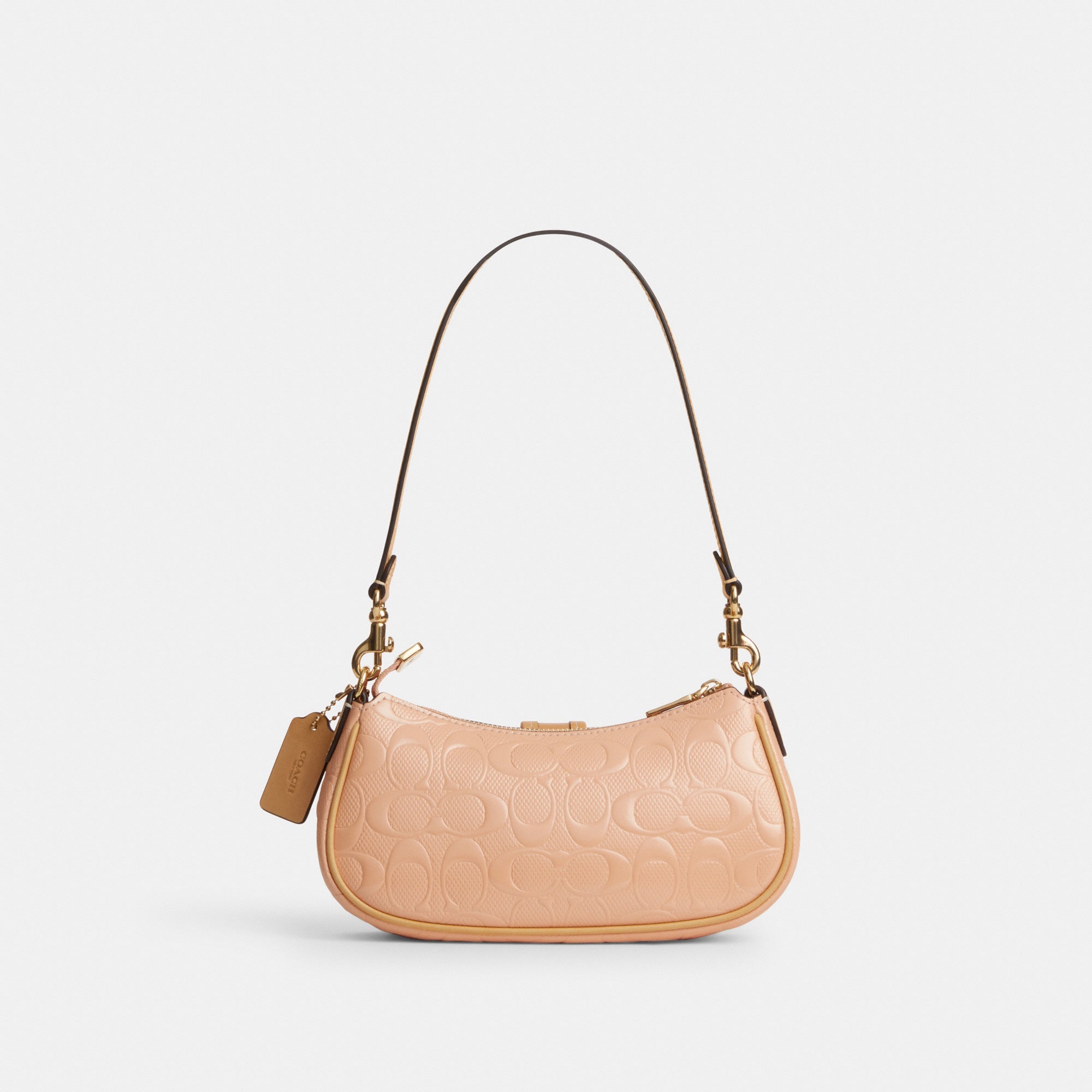 Ashton Mini Shoulder Bag In Signature Leather