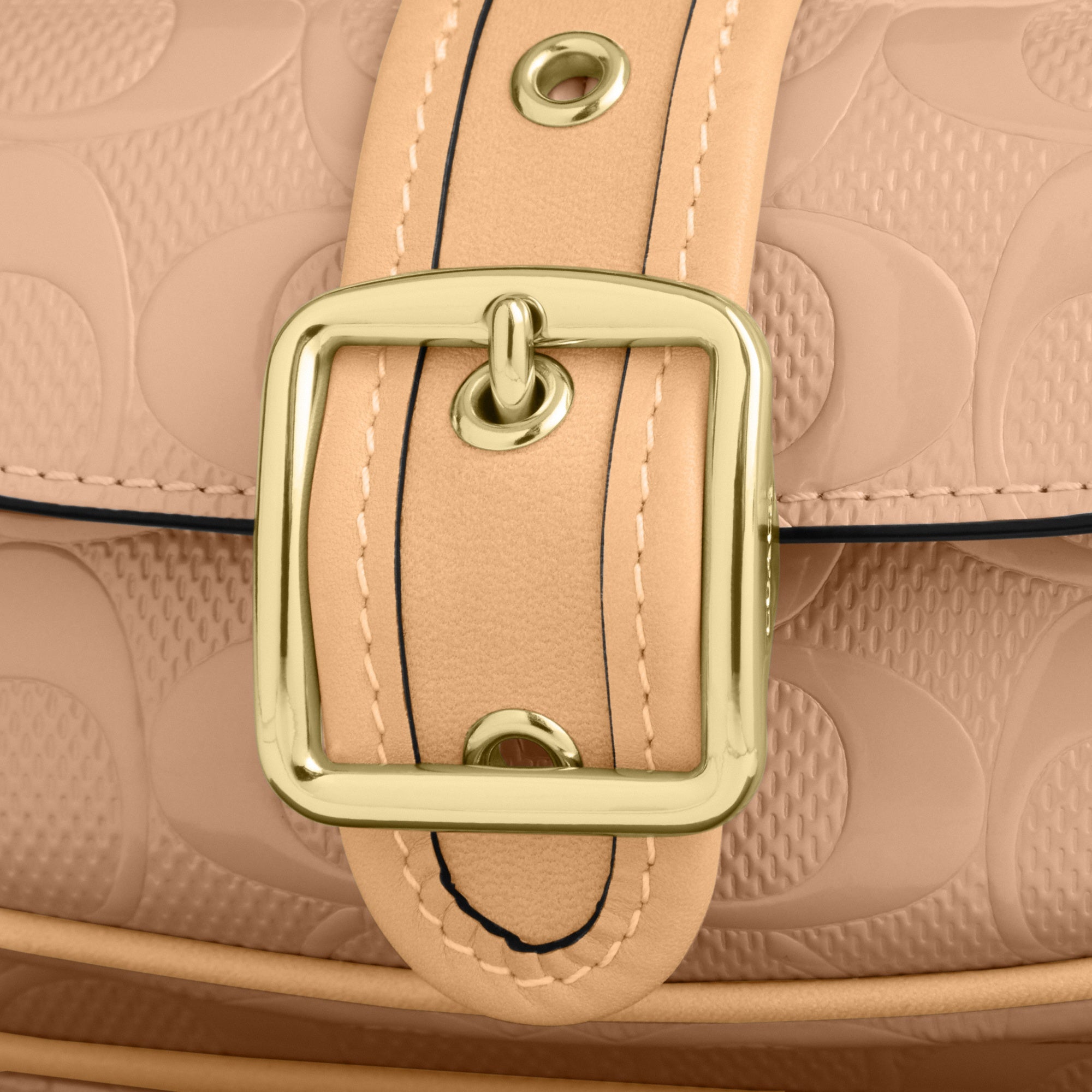 Ashton Mini Shoulder Bag In Signature Leather