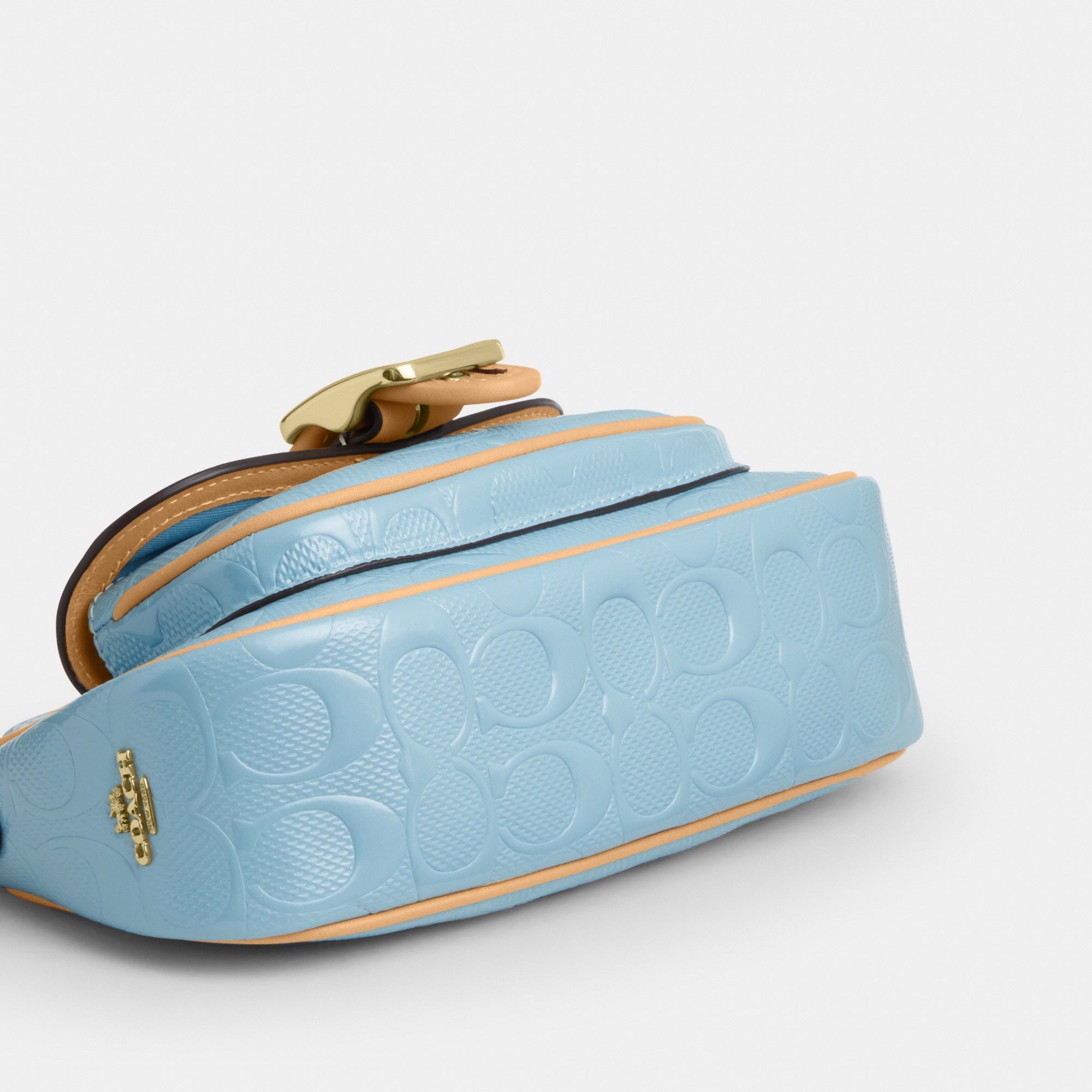 Ashton Mini Shoulder Bag In Signature Leather