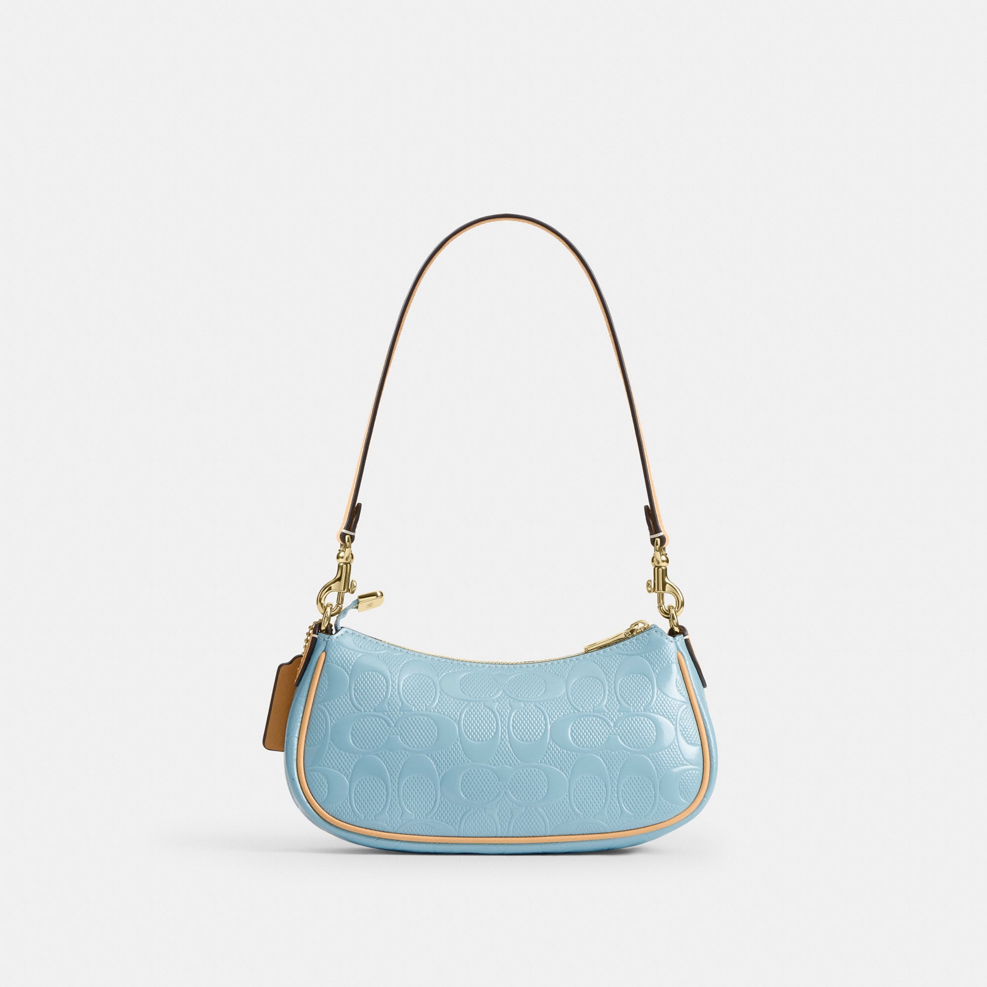 Ashton Mini Shoulder Bag In Signature Leather