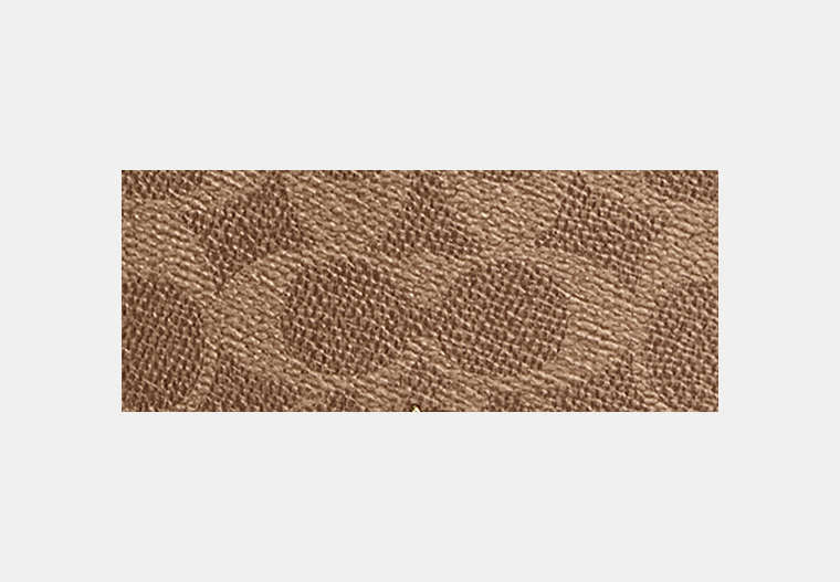 Rainer Crossbody Bag 18 In Signature Canvas