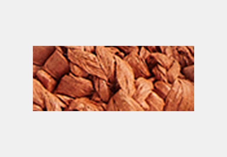 Snail Bag Charm
