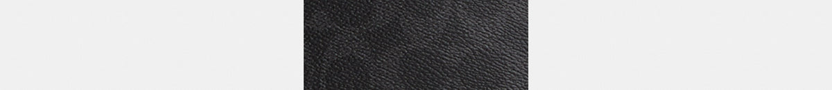 Ray Pack 17 In Signature Canvas