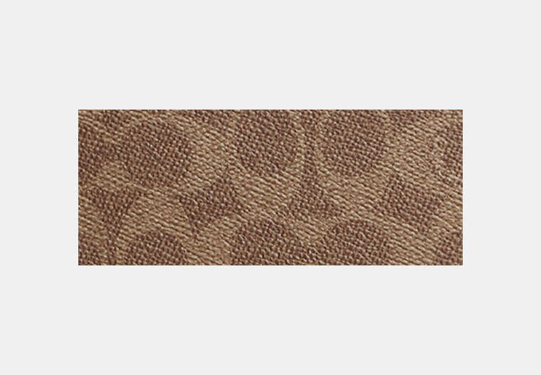Colton Crossbody Bag 25 In Signature Canvas