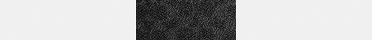 Colton Crossbody Bag 25 In Signature Canvas