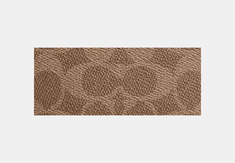 Colton Crossbody Bag 19 In Signature Canvas