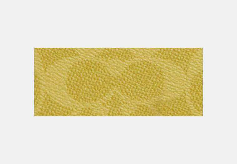 Travis Belt Bag 30 In Signature Canvas