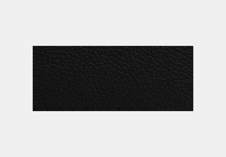 Pouch