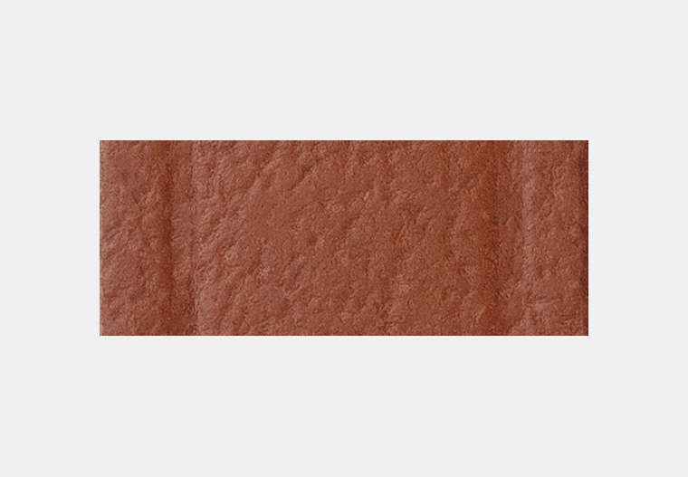 Iris Watch, 22 Mm