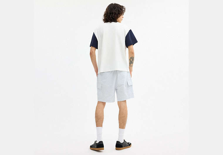 Coach | Brain Dead Striped Camp Shorts
