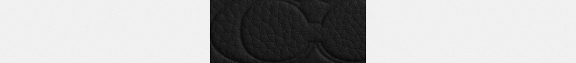 Long Zip Around Wallet In Signature Leather