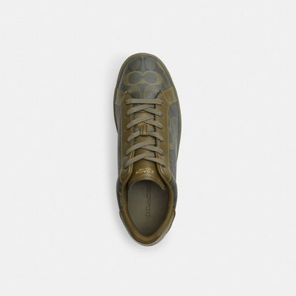 High Line Sneaker In Signature Canvas