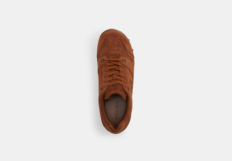 Coach | Brain Dead Soho Wooden Clog