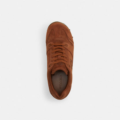 Coach | Brain Dead Soho Wooden Clog