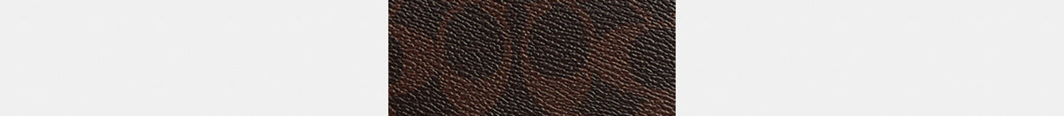 Audrey Crossbody Bag In Signature Canvas